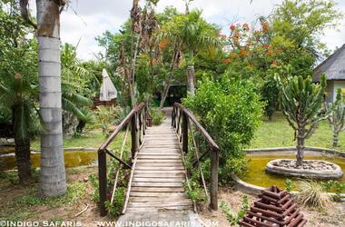 South Africa - 4-day Greater Kruger Safari with Tremisana & Marc's Treehouse - Group accommodated